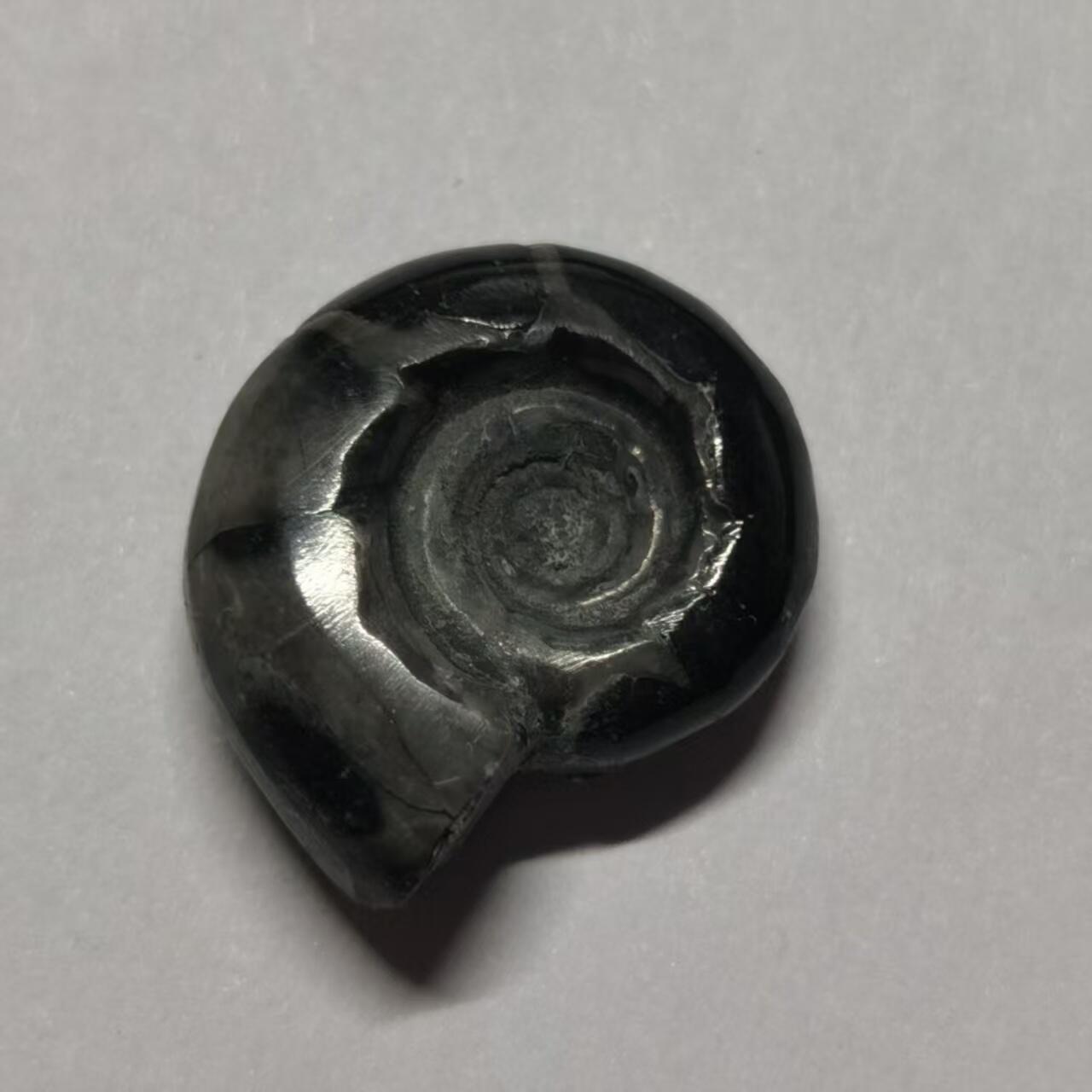 七河·水晶矿标化石杂件小拍（总第43期）（周四结标） 藏家出品X801（2）马达加斯加中生代菊石化石