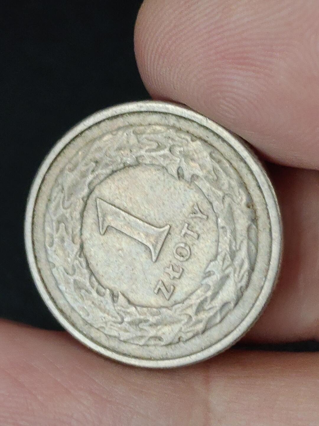 猩哥外币小铺➨【第227场】 波兰