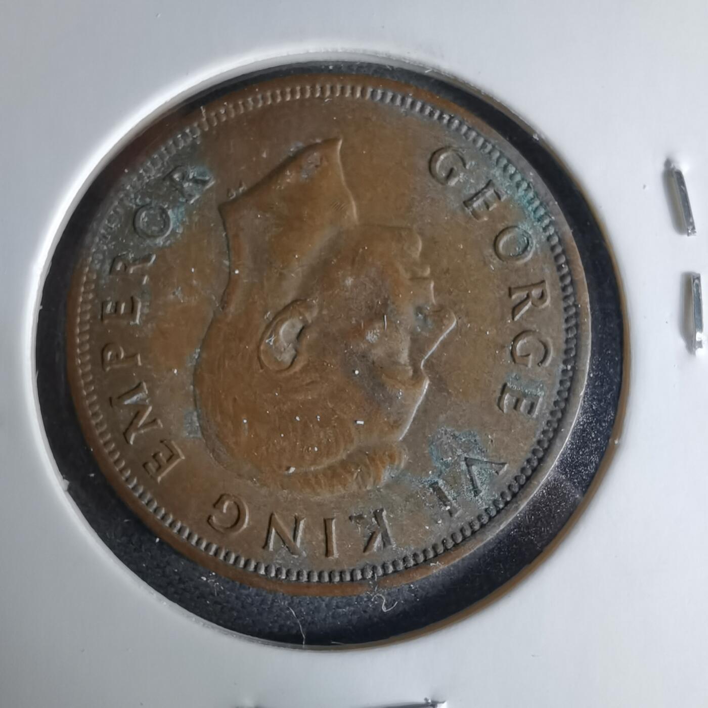 沼泽如烟--第1041场