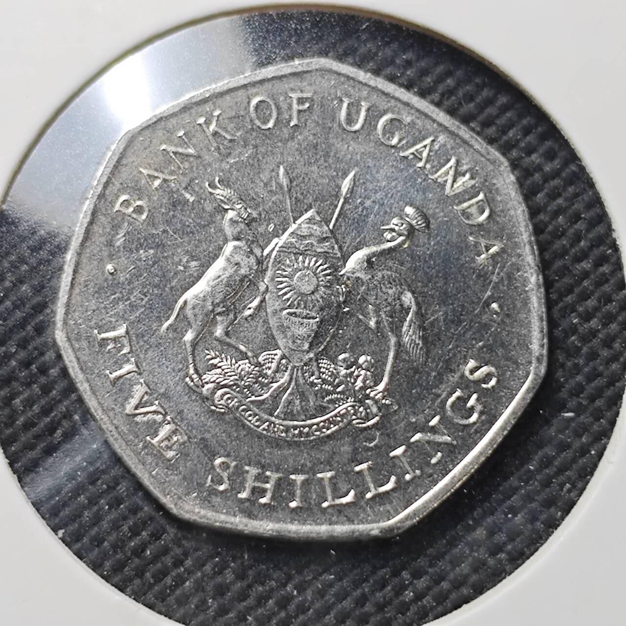 KK钱币收藏小铺  第415期 2月预留时间 周末发货