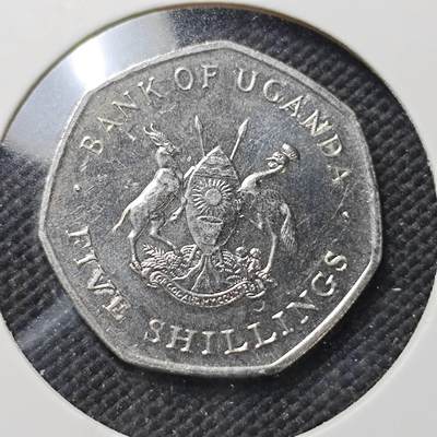 KK钱币收藏小铺  第415期 2月预留时间 周末发货 1987乌干达5先令