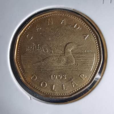 沼泽如烟--第1041场 - 加拿大1993年一元