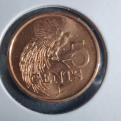 沼泽如烟--第1040场 - 多巴哥2017年五分