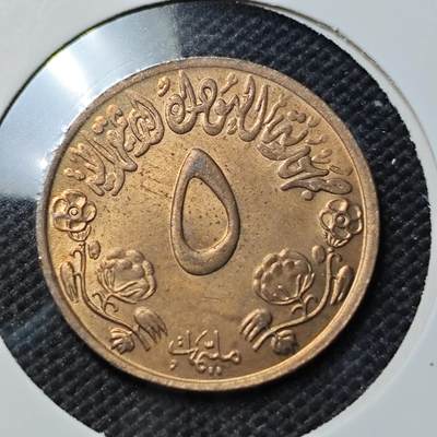 KK钱币收藏小铺  第415期 2月预留时间 周末发货 苏丹5米利姆好品铜币