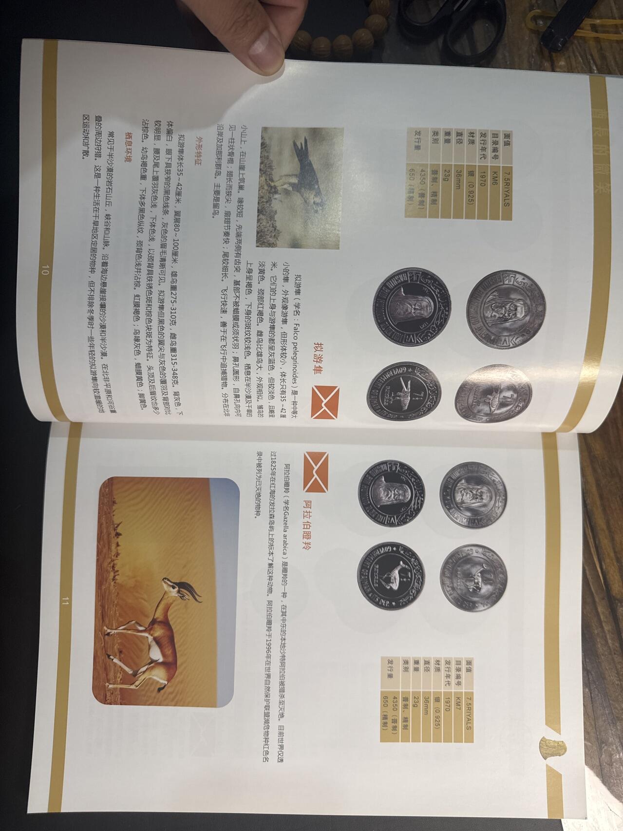 ❤️【币观天下】❤️ 第347期钱币拍卖场- 2026.4.3周五晚上6点半场 长期征集拍品  币观天下酋长国专辑