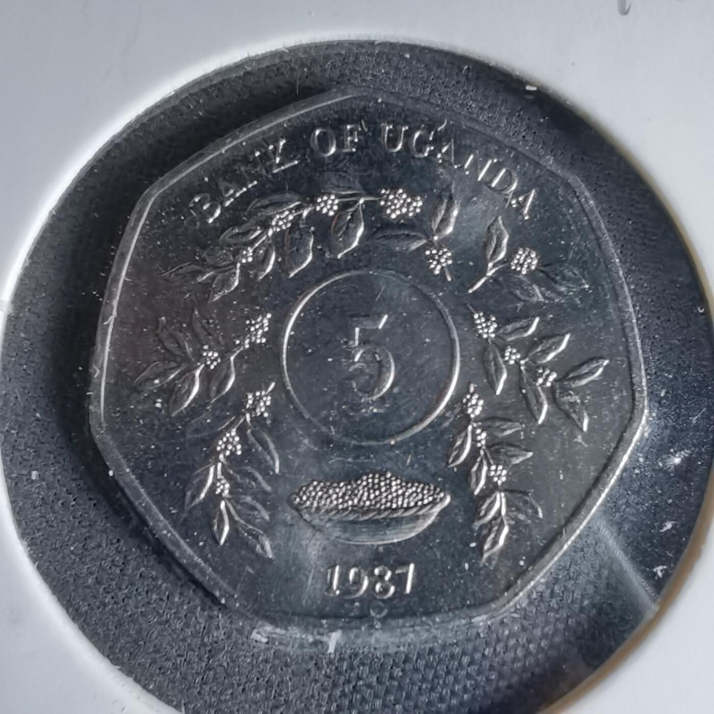 沼泽如烟--第1041场