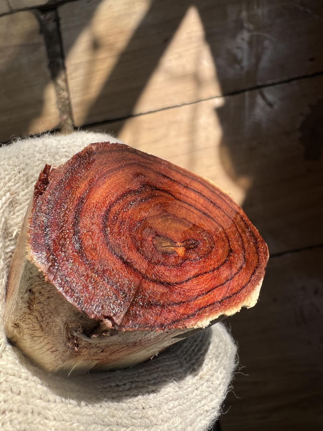 零元拍：  海南黄花梨。尺寸约148/46MM