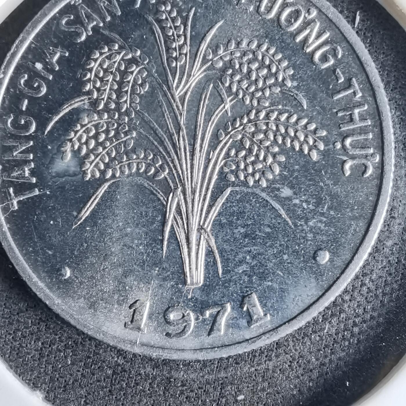 沼泽如烟--第1041场