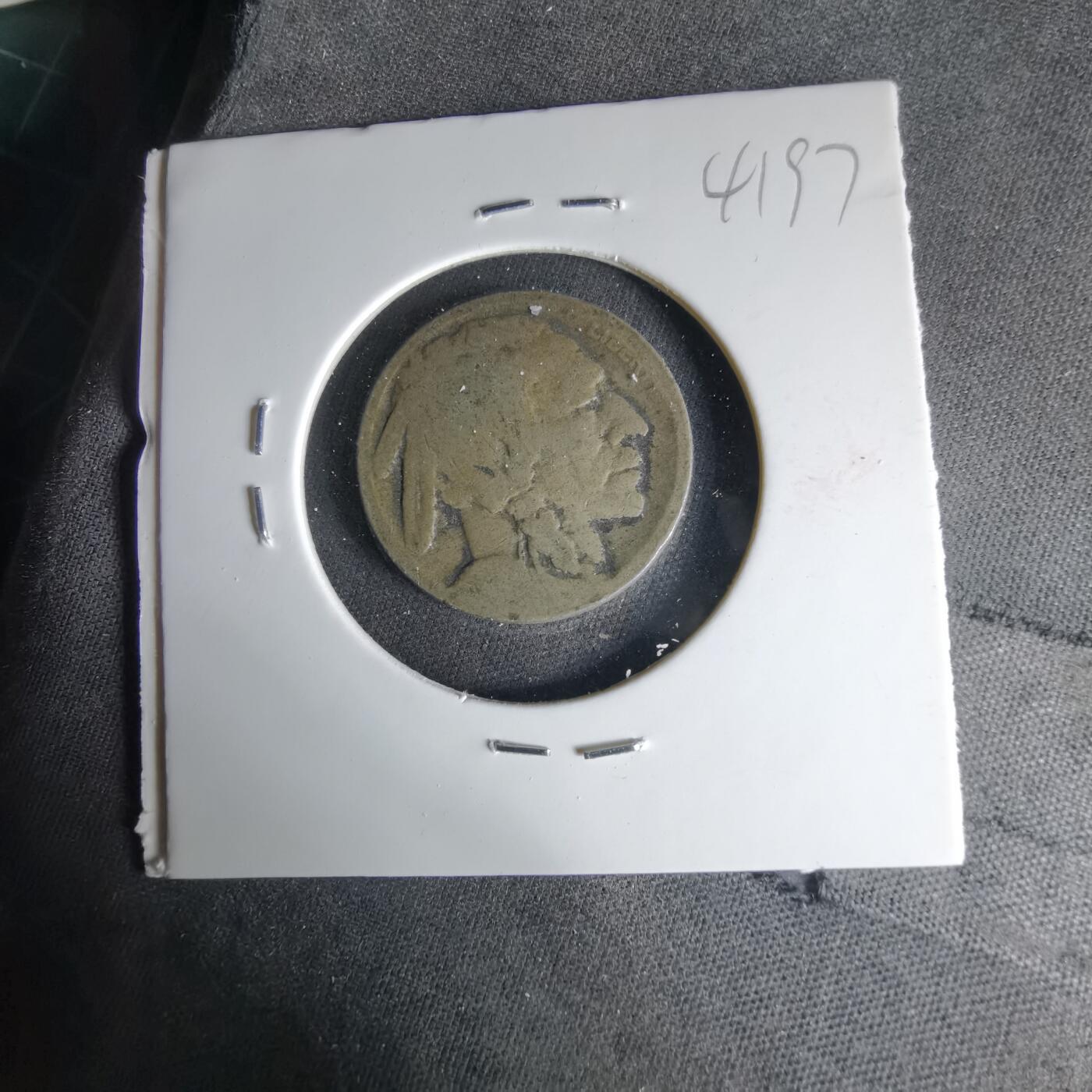 沼泽如烟--第1041场 美国野牛五分