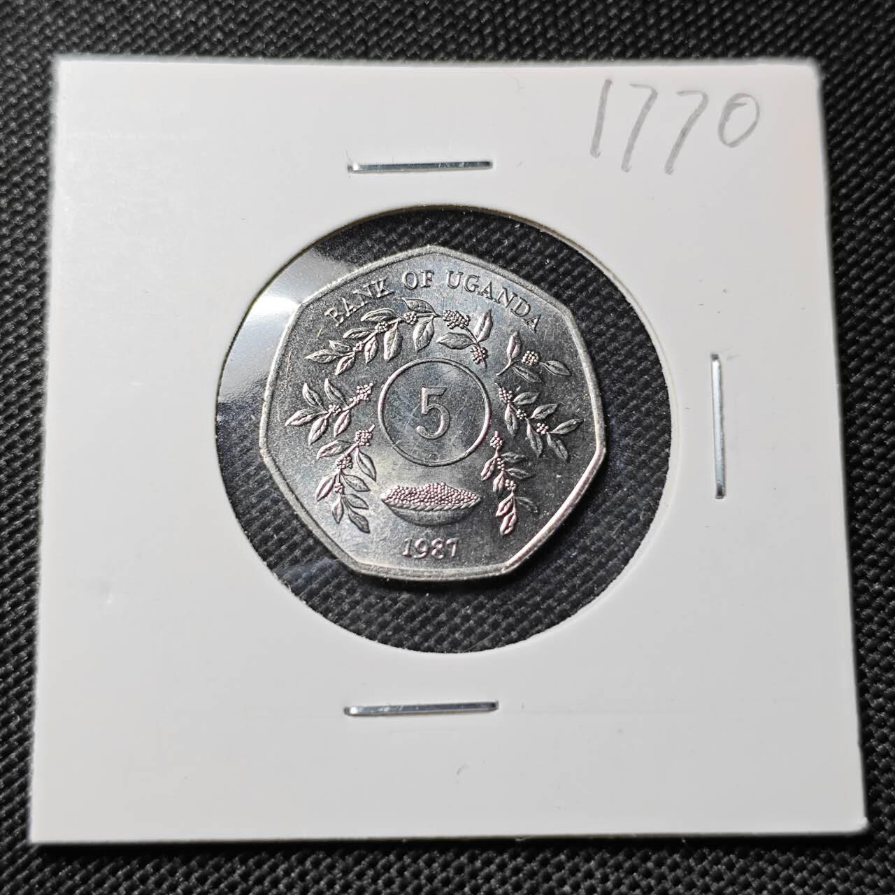 KK钱币收藏小铺  第417期 2月预留时间 周末发货