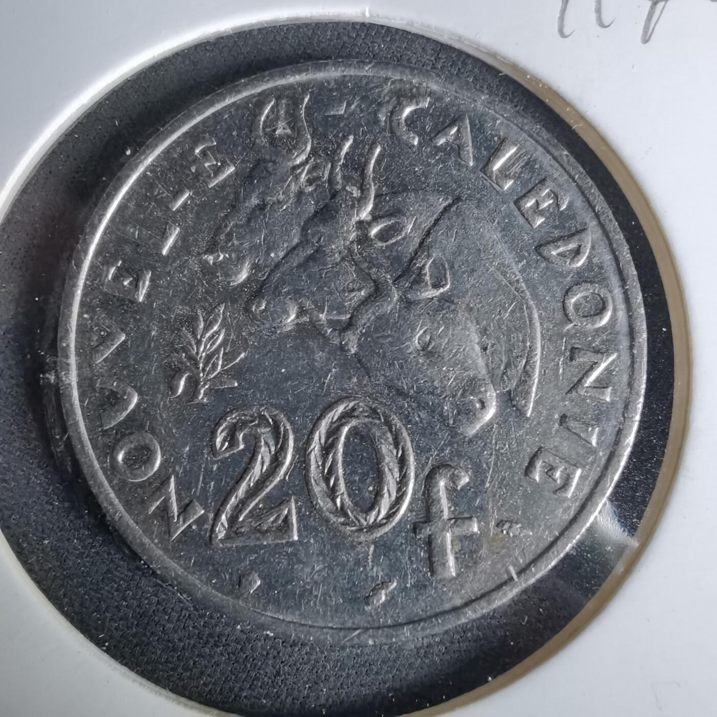 沼泽如烟--第1041场