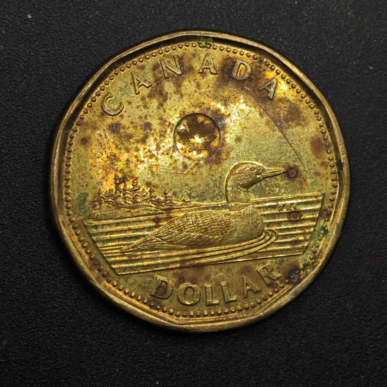  【淘币小摊】限时拍第八百八十九拍   散币套币纸币邮品场    每周一统一发货 加拿大2013年潜水鸭一元铜币