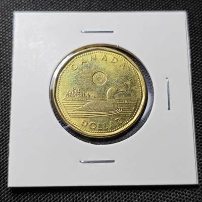 KK钱币收藏小铺  第417期 2月预留时间 周末发货 2019加拿大1元 