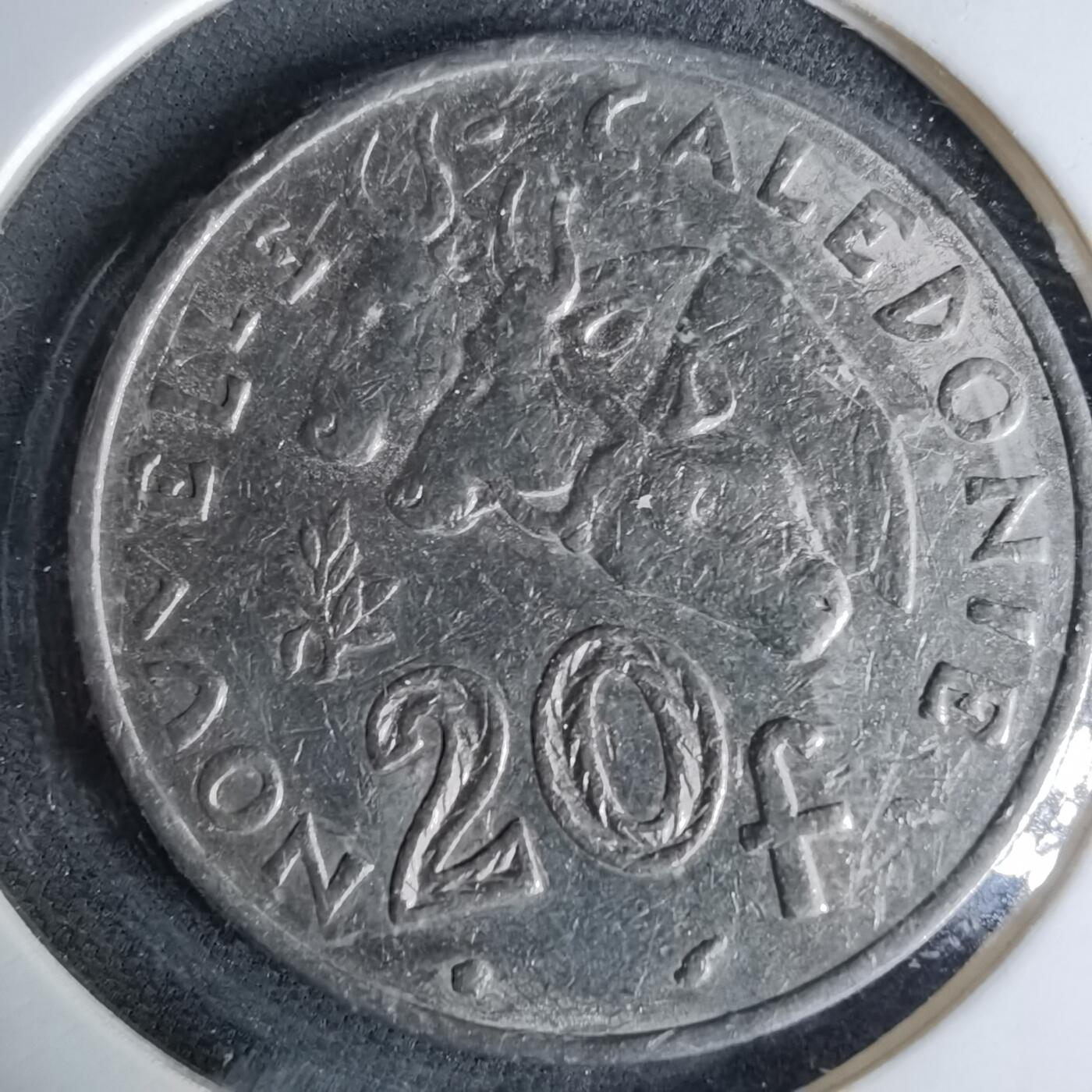 沼泽如烟--第1041场