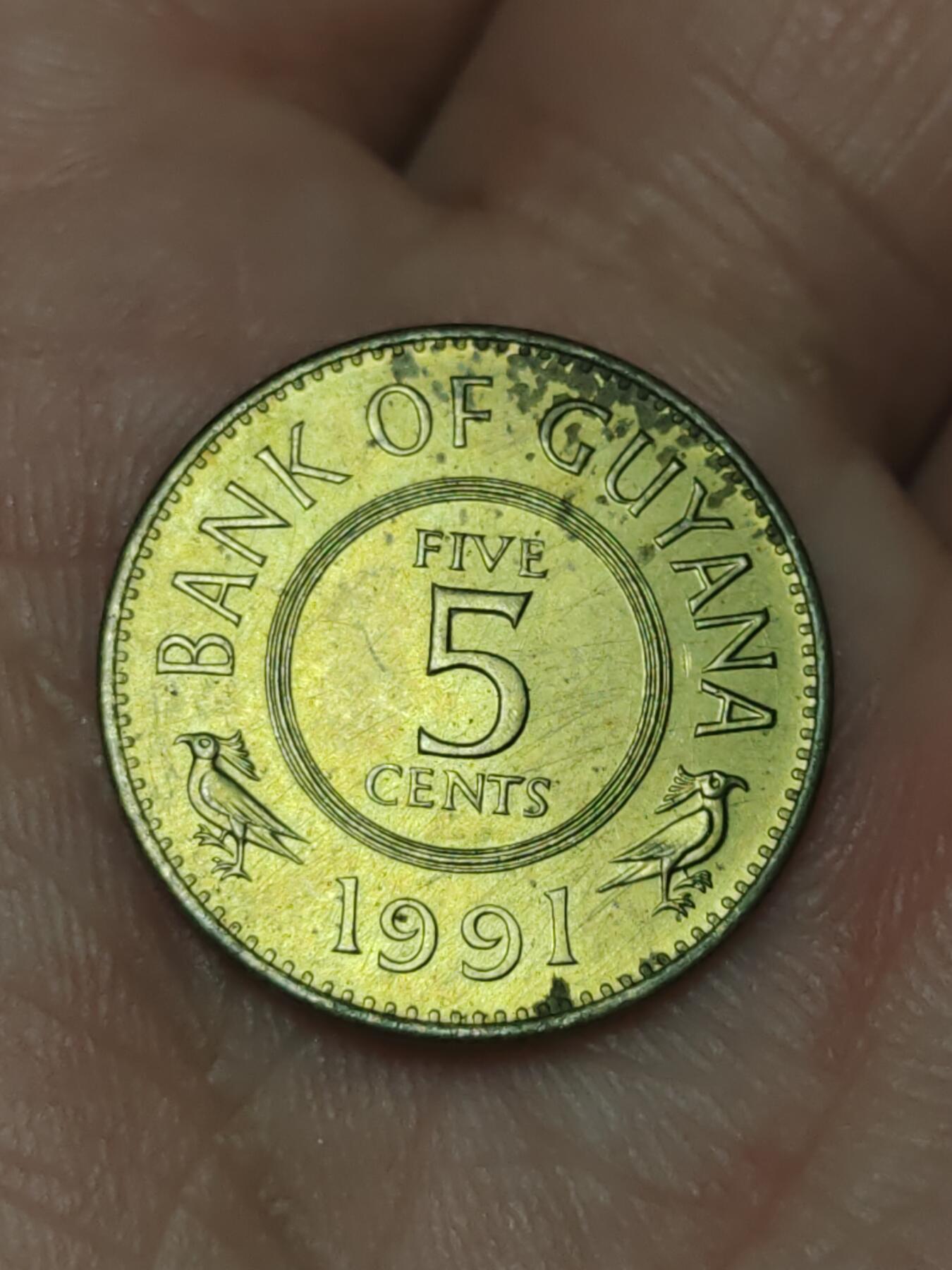 2026年第三十九场(总第二百零八场）外国好品散币场(免佣金) 圭亚那🇬🇾1991年5分(独立后第一套)