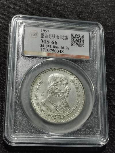 天下钱庄专场欢迎参拍 - 墨西哥一比索银币