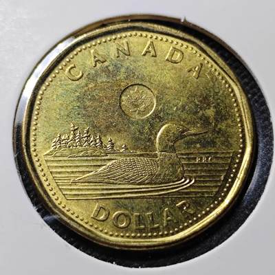 KK钱币收藏小铺  第417期 2月预留时间 周末发货 2019加拿大1元 