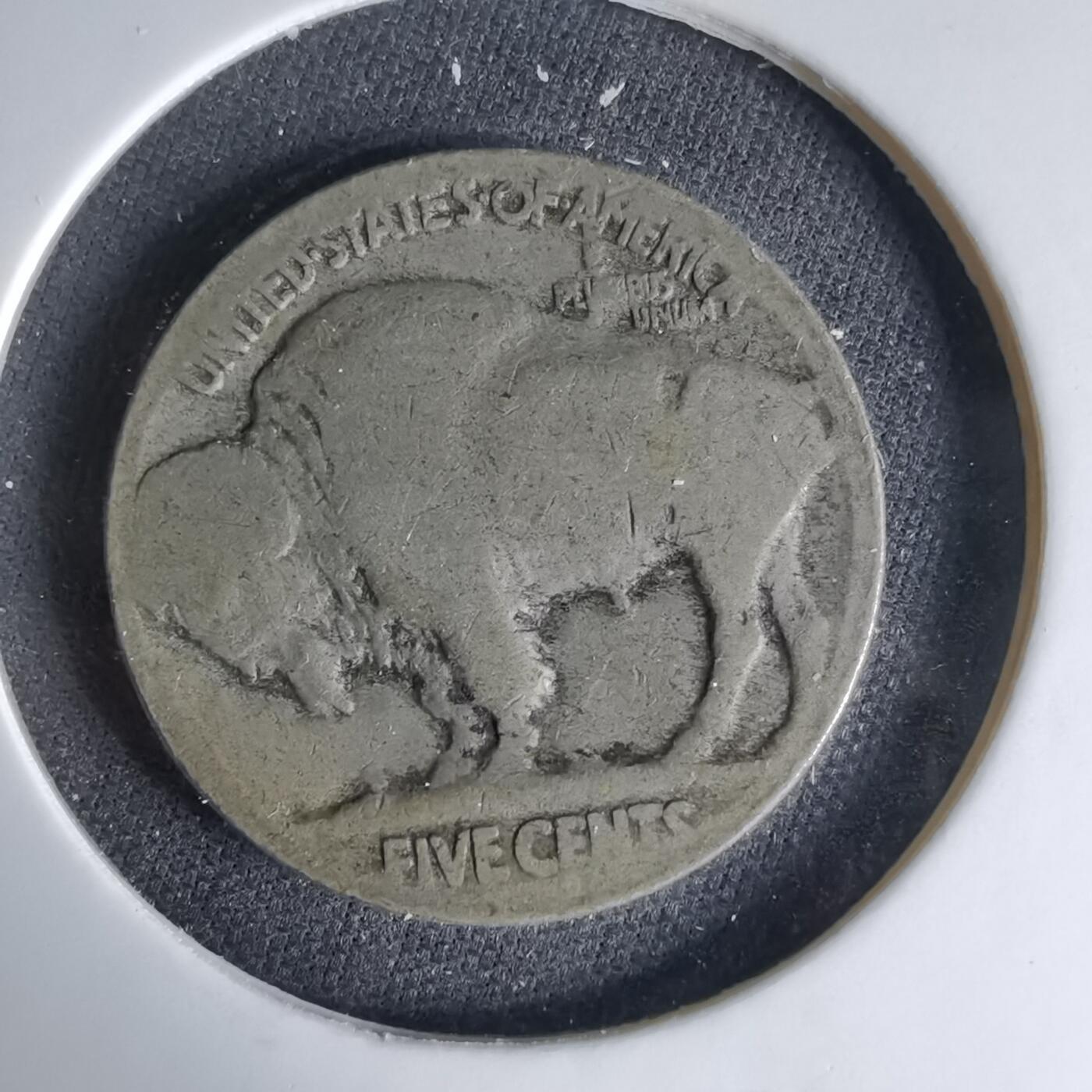 沼泽如烟--第1041场 美国野牛五分