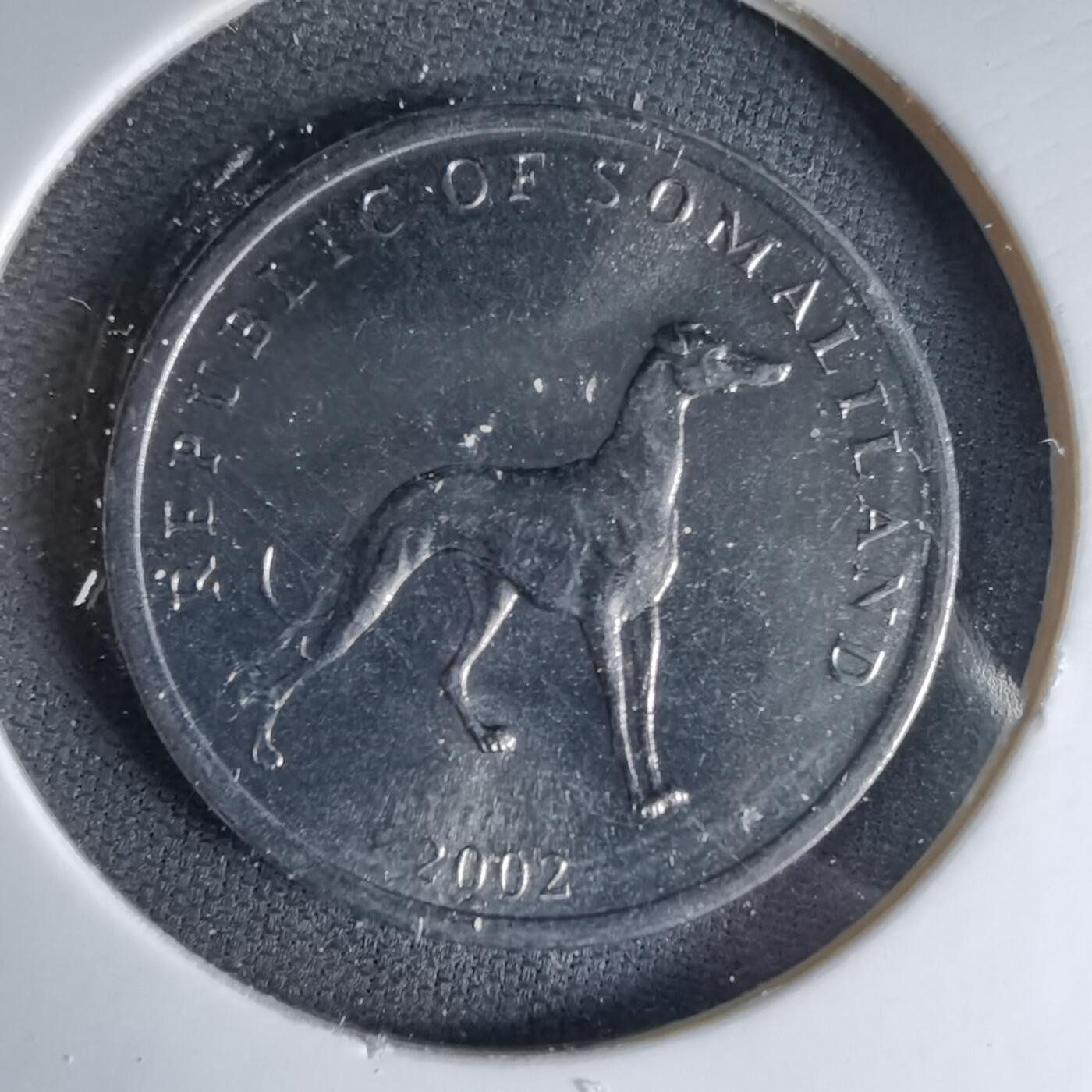 沼泽如烟--第1041场