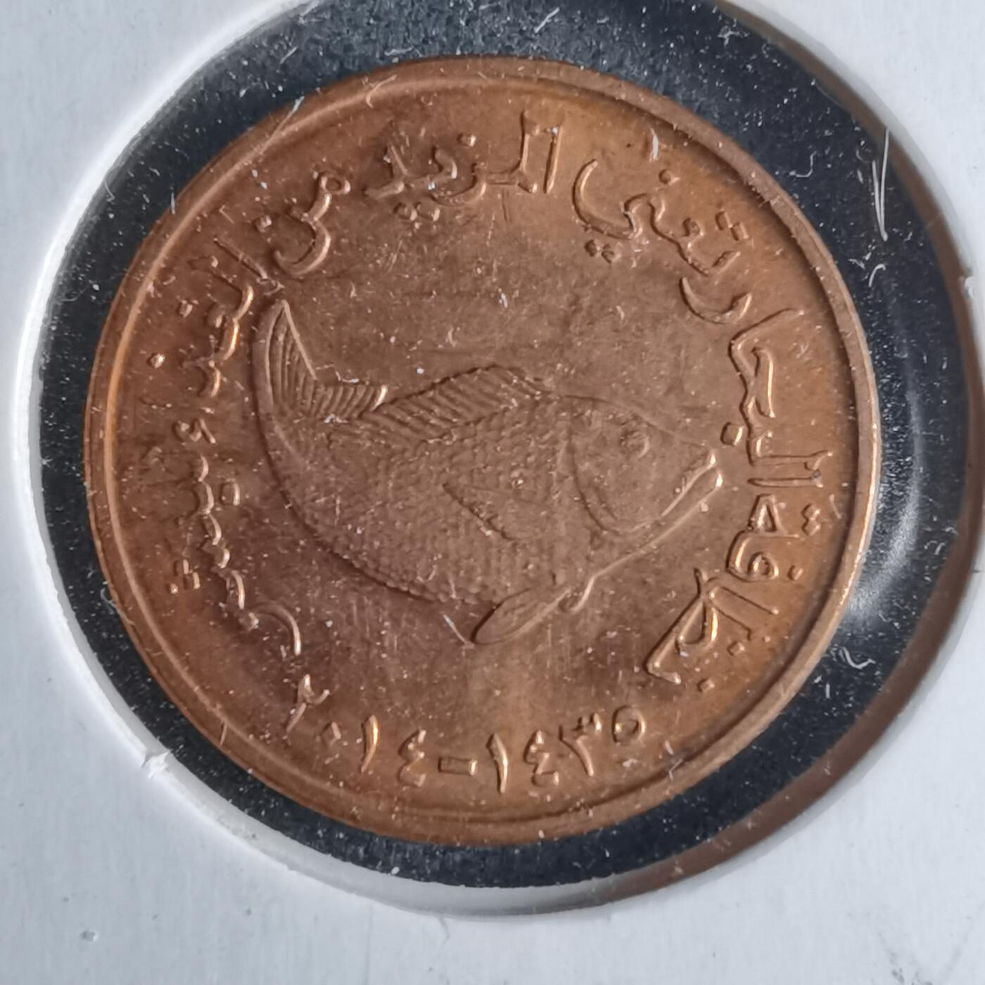 沼泽如烟--第1040场 阿联酋