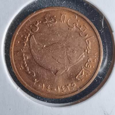 沼泽如烟--第1040场 - 阿联酋