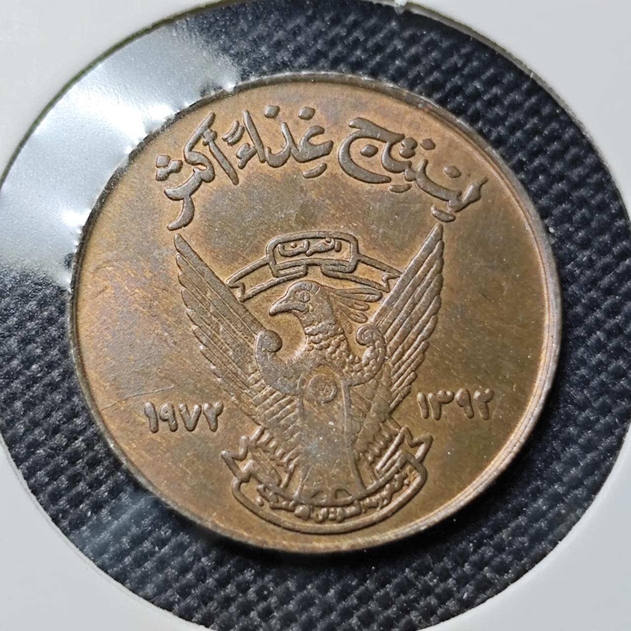 KK钱币收藏小铺  第417期 2月预留时间 周末发货