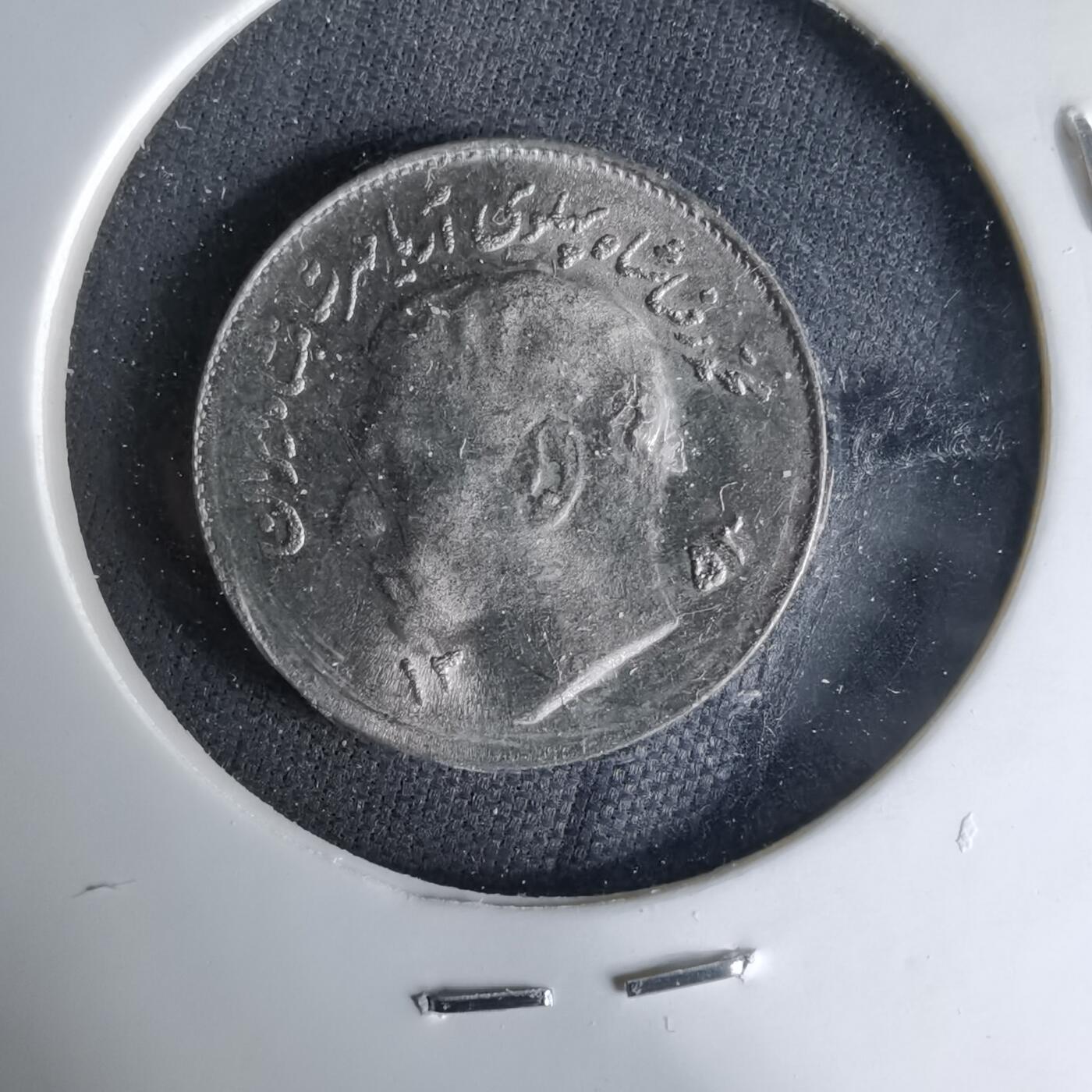 沼泽如烟--第1041场