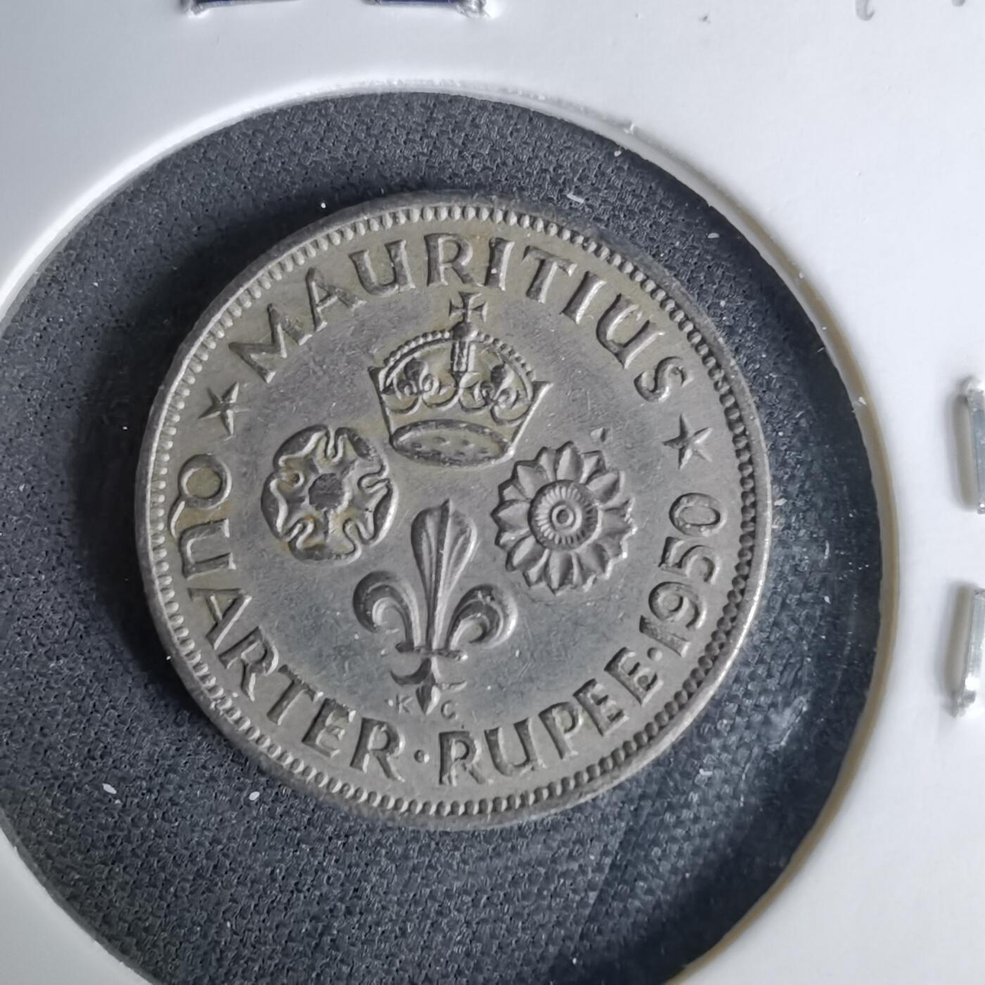 沼泽如烟--第1041场