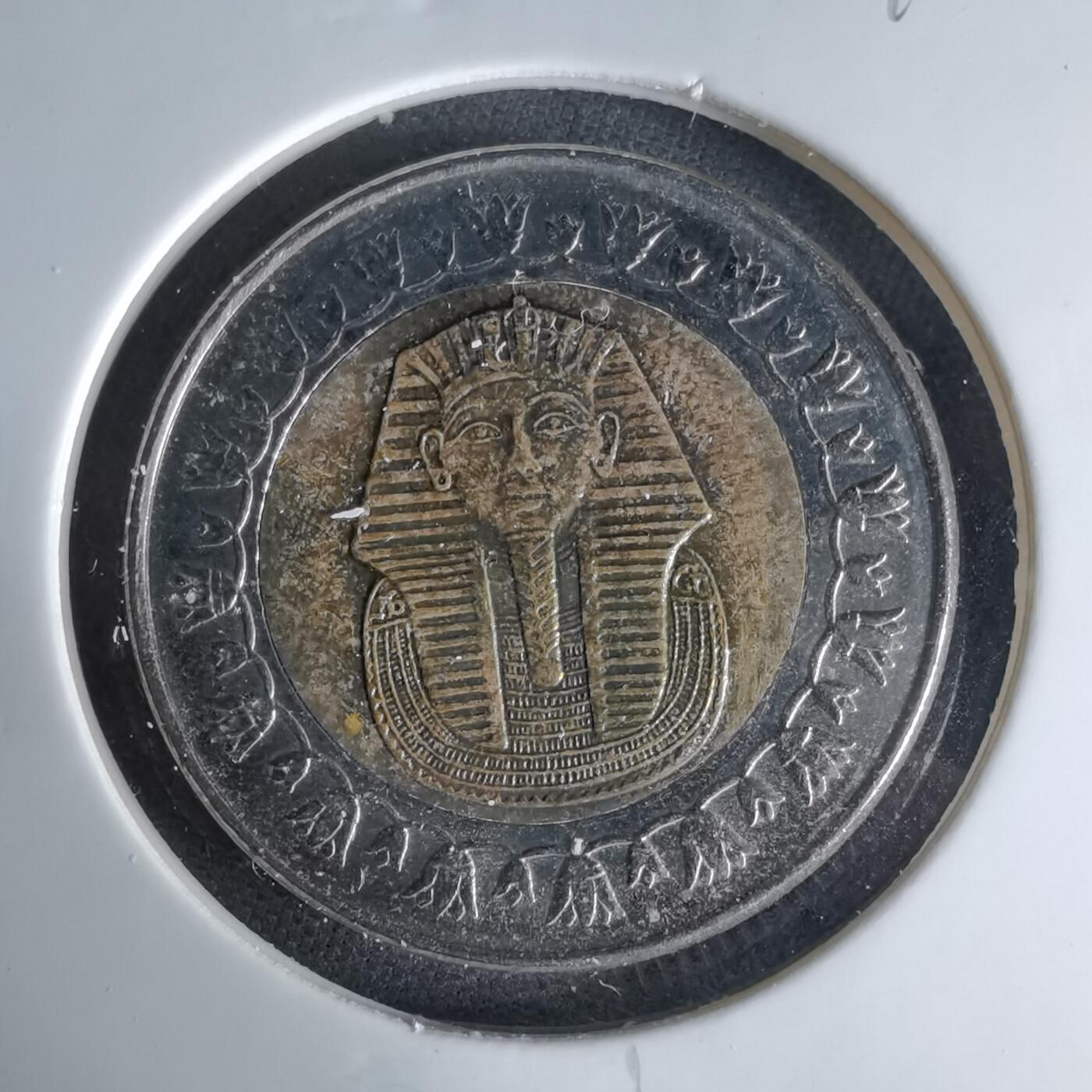 沼泽如烟--第1041场 埃及