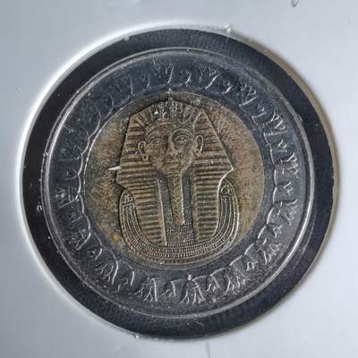 沼泽如烟--第1041场 - 埃及