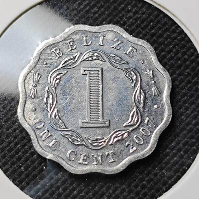 KK钱币收藏小铺  第415期 2月预留时间 周末发货 2007伯利兹1分 