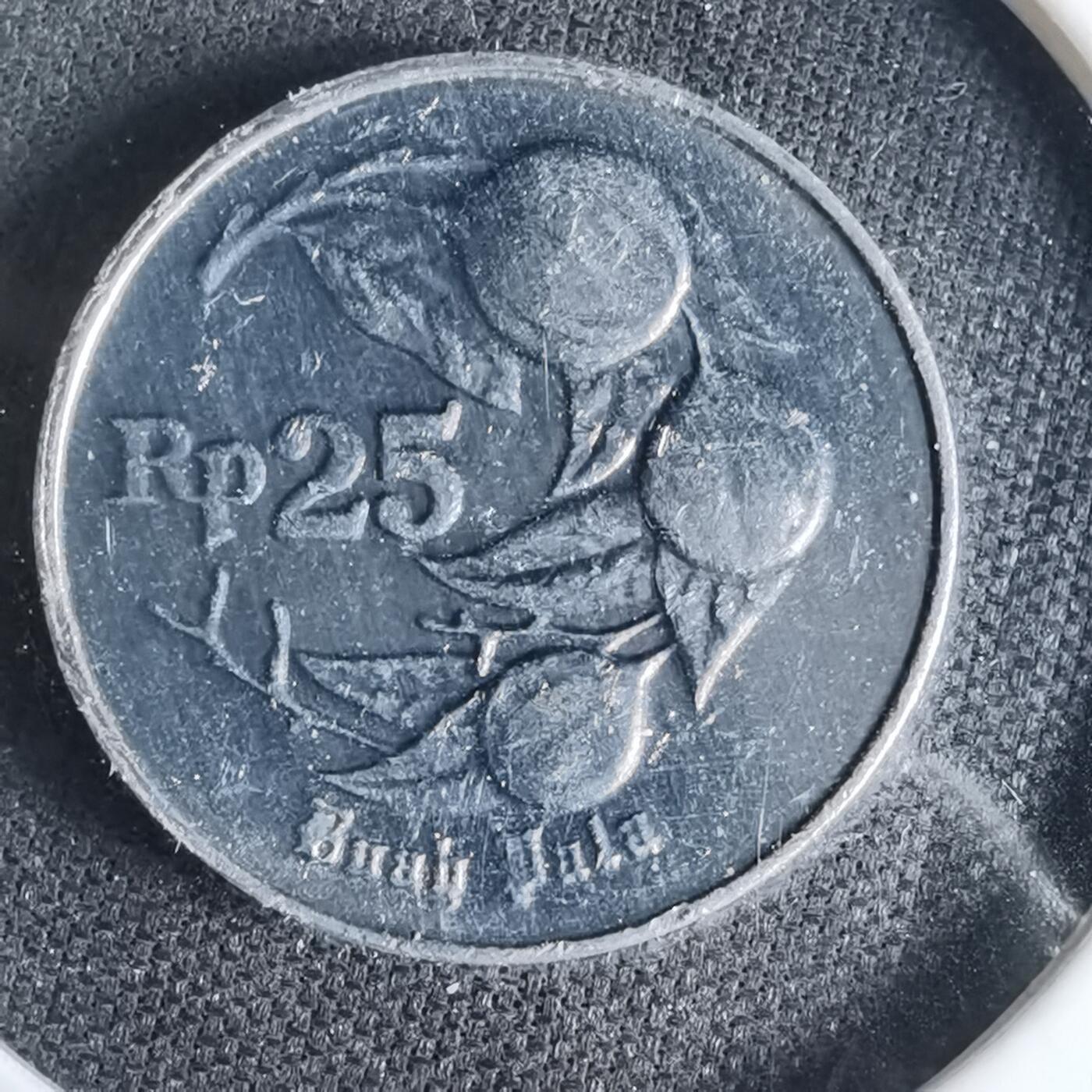 沼泽如烟--第1041场 印度尼西亚1994年25卢比