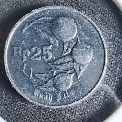 沼泽如烟--第1041场 - 印度尼西亚1994年25卢比