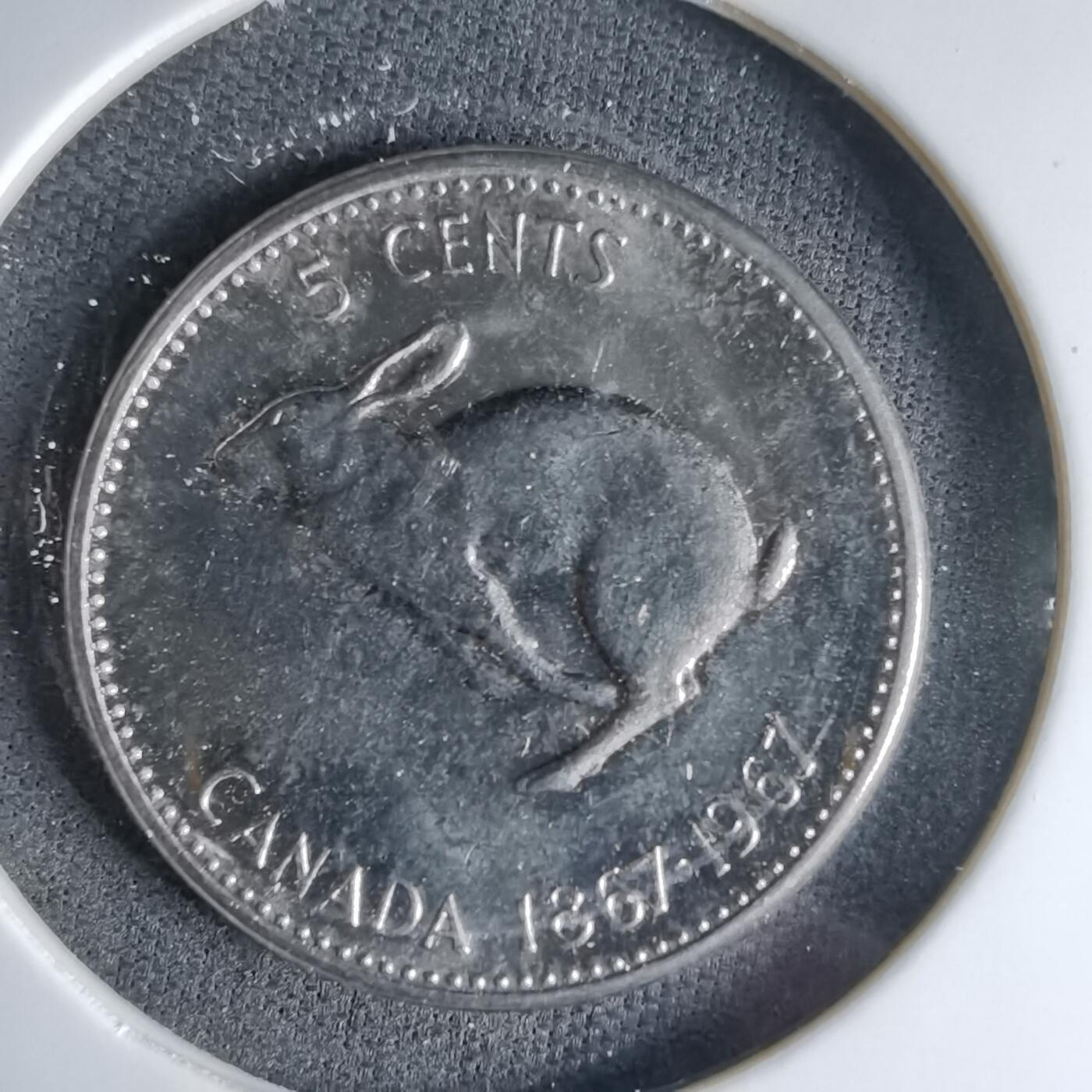 沼泽如烟--第1041场