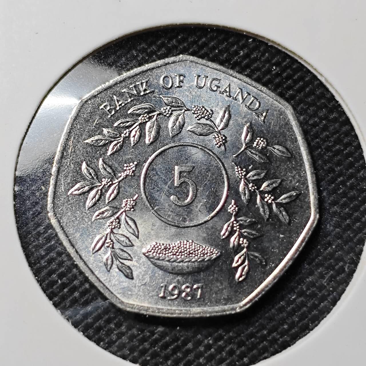 KK钱币收藏小铺  第417期 2月预留时间 周末发货