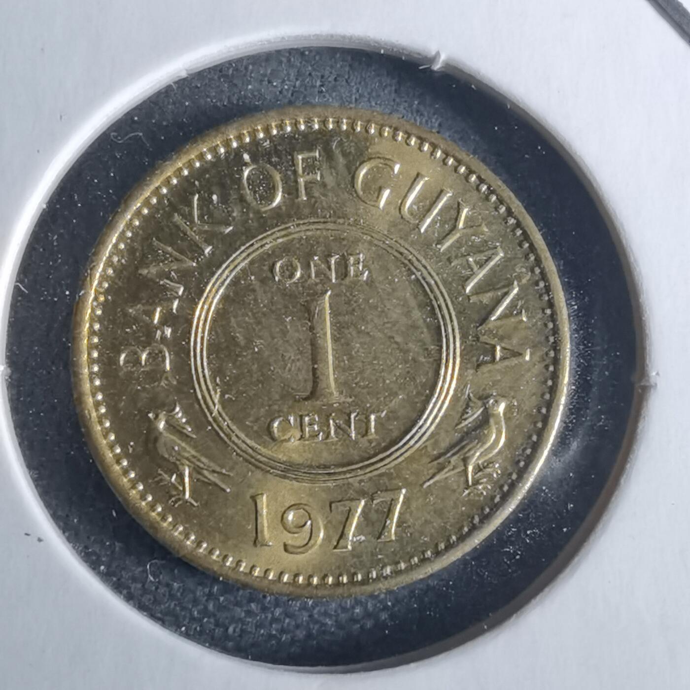 沼泽如烟--第1040场