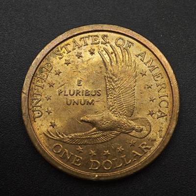 【淘币小摊】实时拍第八百八十七拍   散币场    每周一统一发货 - 美国2000年萨卡加维亚美元