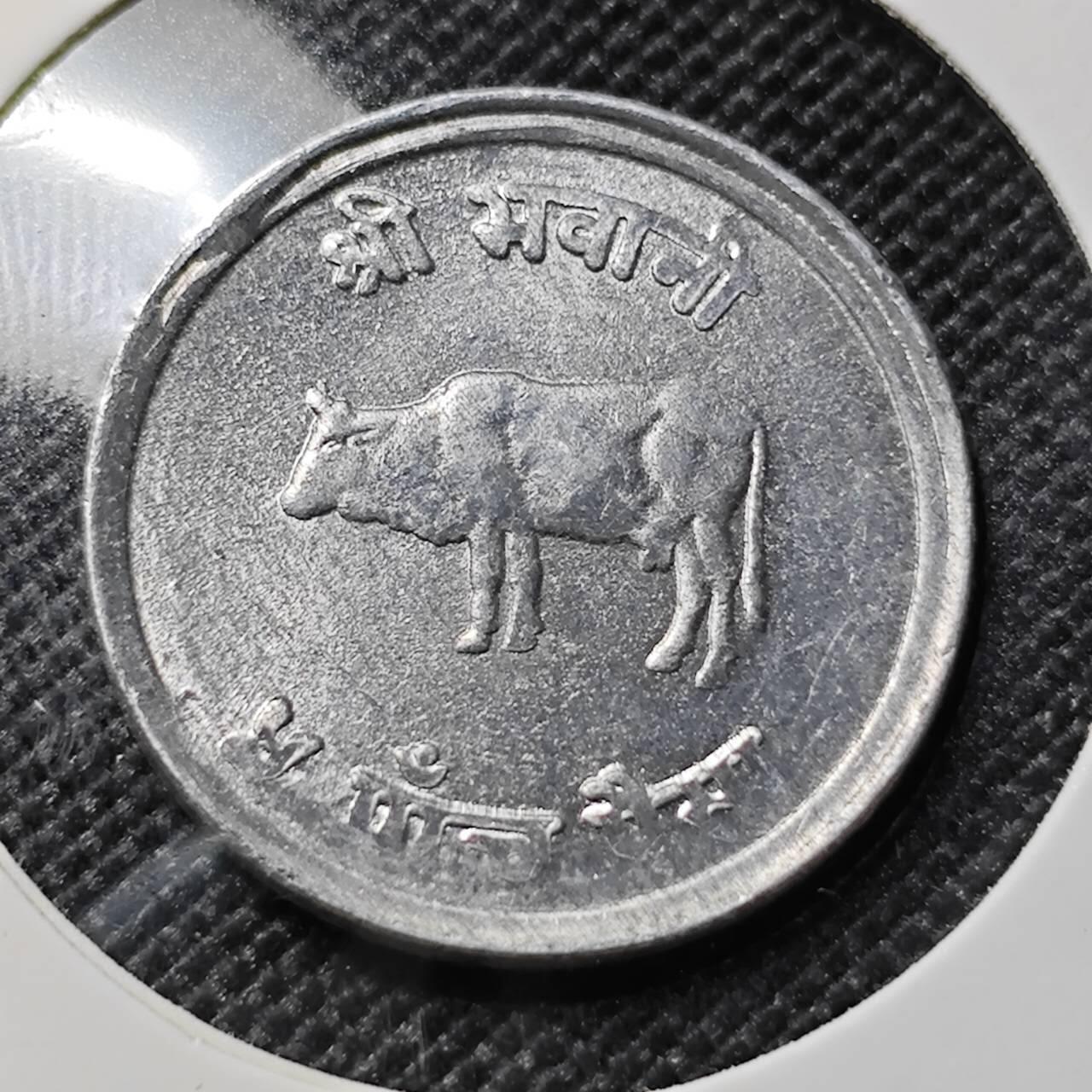 KK钱币收藏小铺  第417期 2月预留时间 周末发货