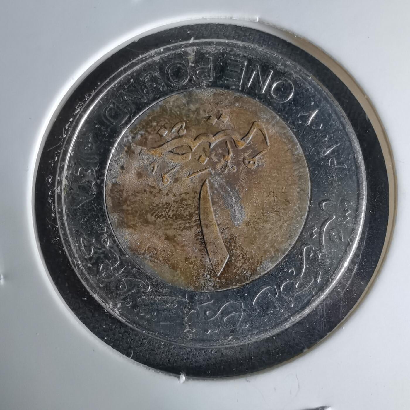 沼泽如烟--第1041场 埃及