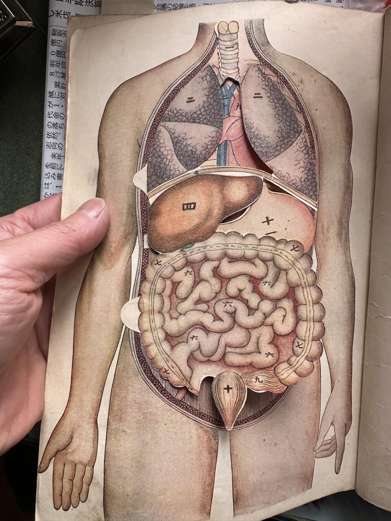 民国五年旧书《延年益寿》好品相