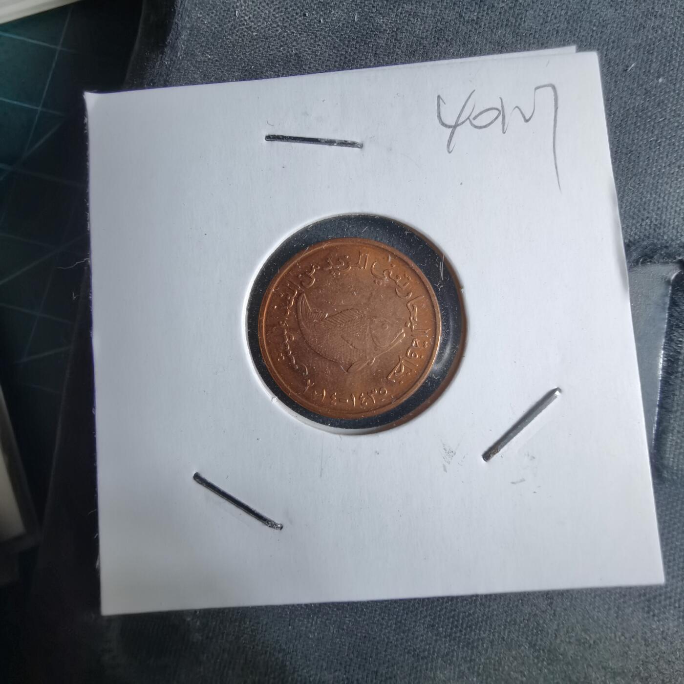 沼泽如烟--第1040场 阿联酋