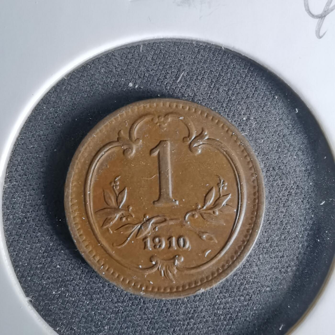 沼泽如烟--第1041场