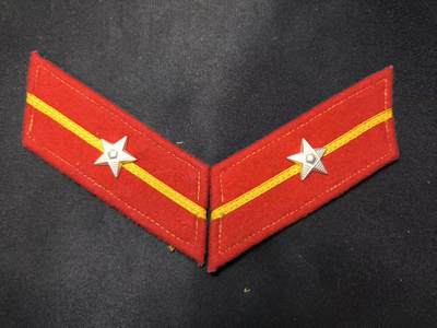 云宸嘉赏-勋臻佳藏四月精品甄选场次（低佣 一元一手） - su-M55式陆下士领章 好品