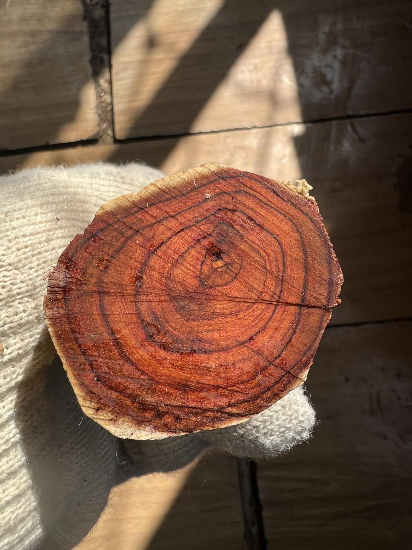 零元拍：  海南黄花梨。尺寸约148/46MM