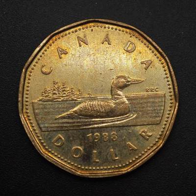 【淘币小摊】实时拍第八百八十七拍   散币场    每周一统一发货 - 加拿大1988年一元潜水鸭
