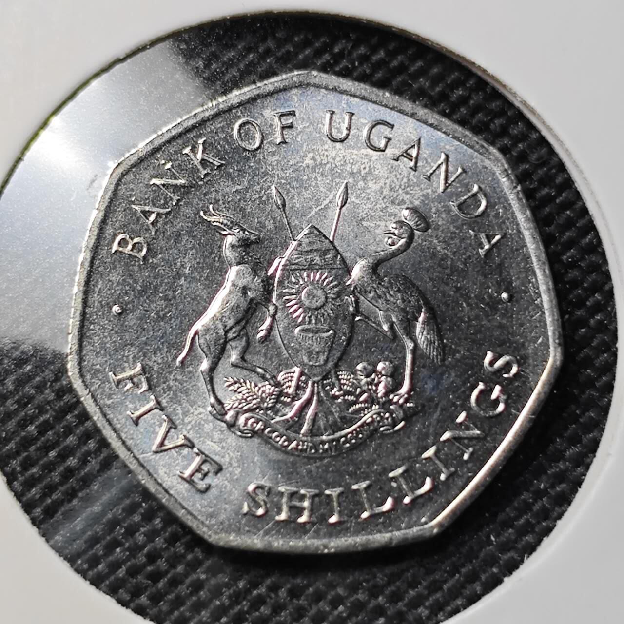 KK钱币收藏小铺  第417期 2月预留时间 周末发货