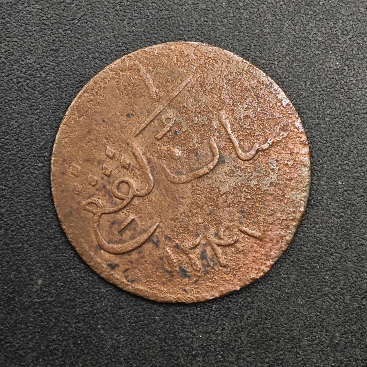  【淘币小摊】限时拍第八百八十九拍   散币套币纸币邮品场    每周一统一发货 马六甲小公鸡1克平铜币