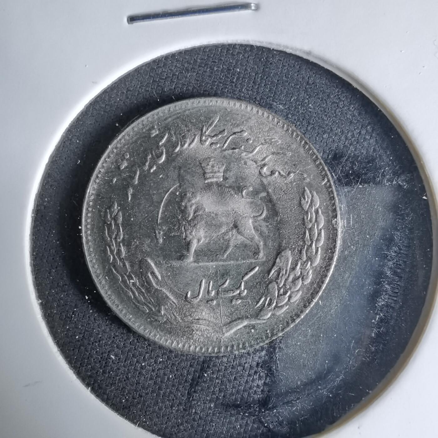 沼泽如烟--第1041场