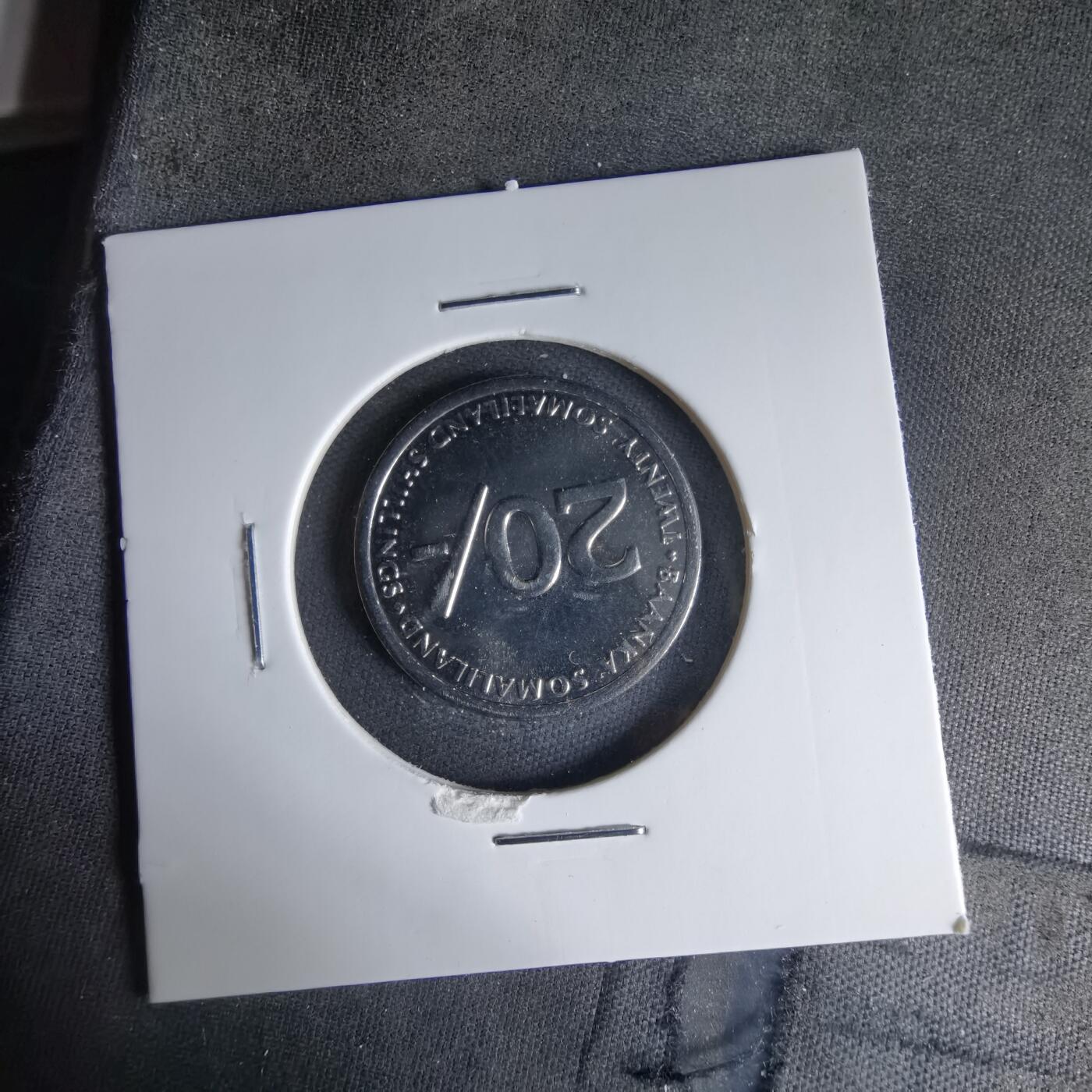 沼泽如烟--第1041场