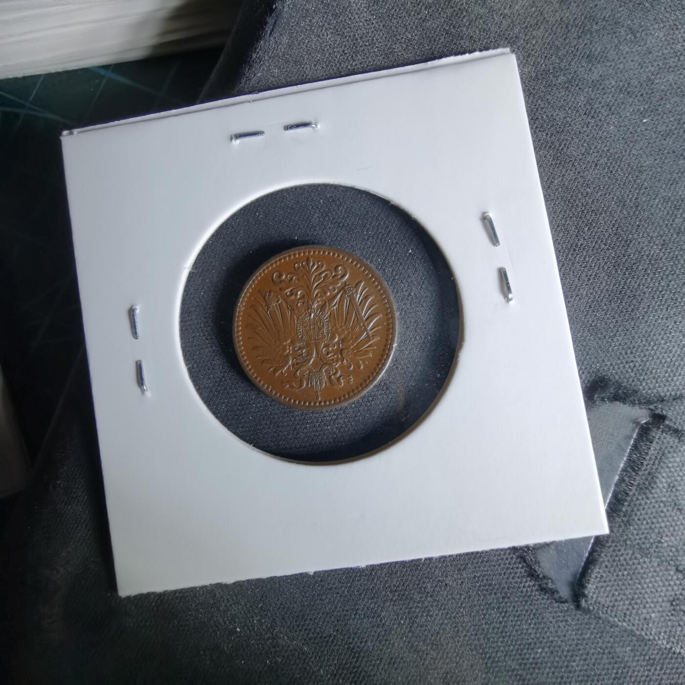 沼泽如烟--第1041场